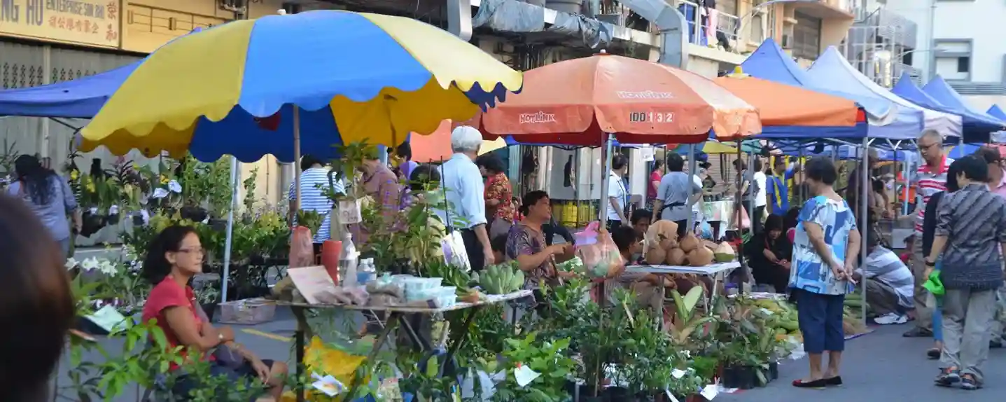 5 Day Borneo Highlights-1